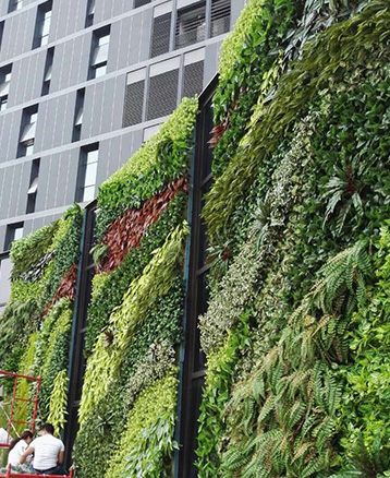 仿真植物墙系列